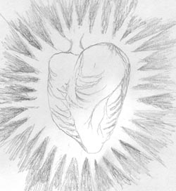 rough sketch.jpg